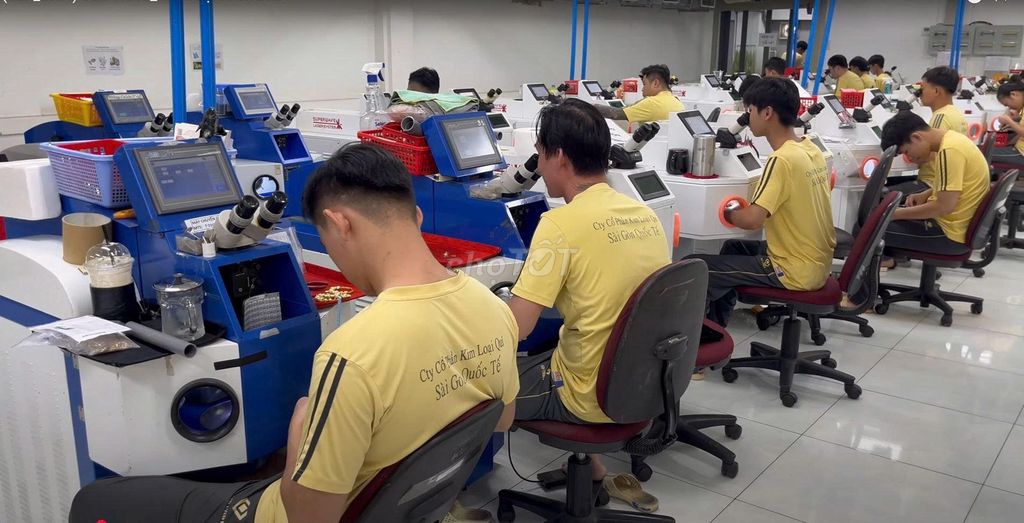 lĩnh vực hoạt động